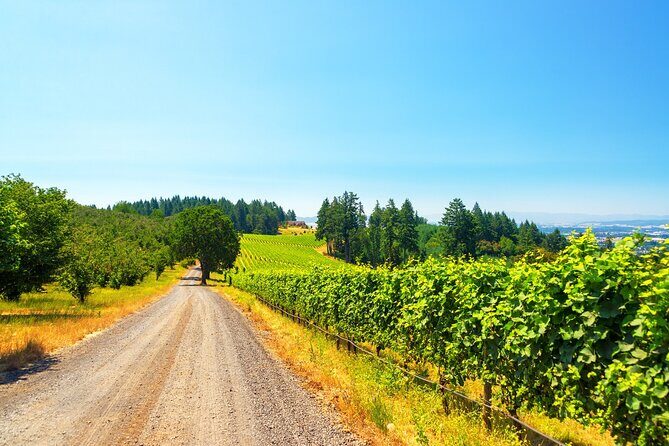 Full Day Private Willamette Valley Wine Tour from Portland - Full Day Private Willamette Valley Wine Tour from Portland