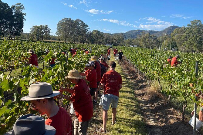 Full Day Private Wine Tour Exclusively Tailored To Suit You - Detailed Breakdown of the Experience