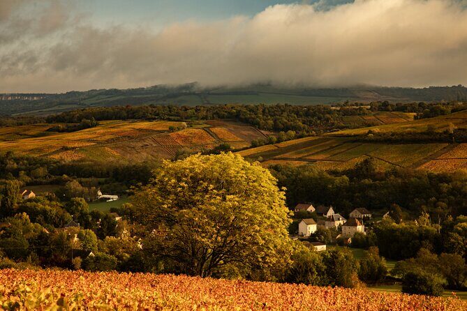 Full-Day Private Wine Tour in Côte de Beaune - Experience the Best of Côte de Beaune with a Private Wine Tour