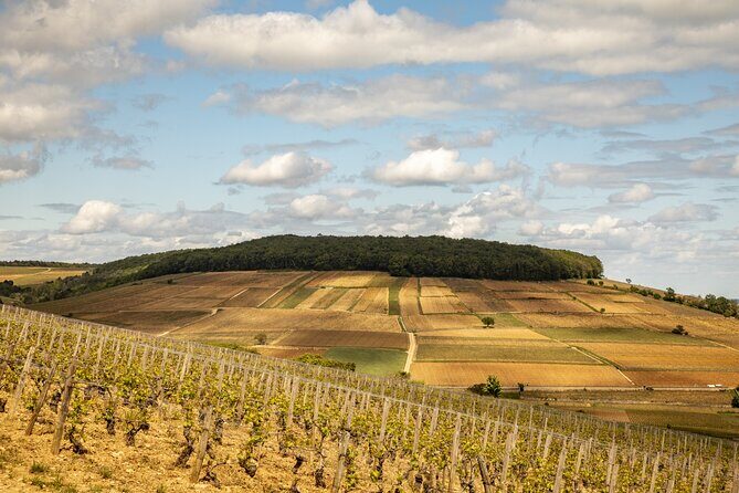 Full-Day Private Wine Tour in Côte de Beaune - Key Points