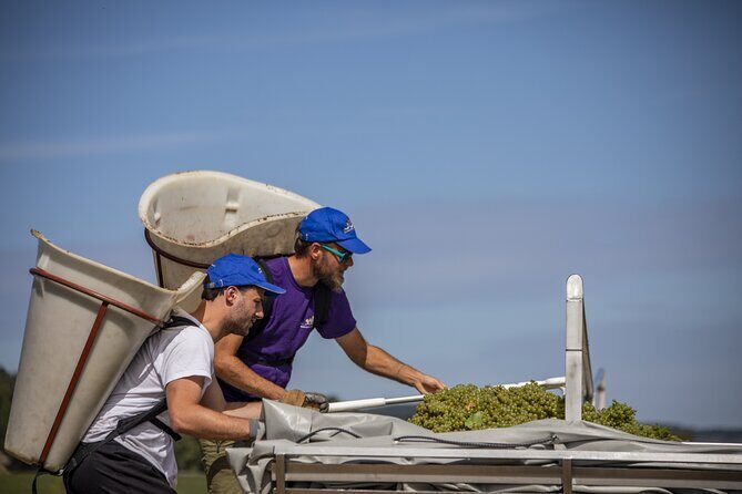 Full-Day Private Wine Tour in Côte de Beaune - Who Would Enjoy This Tour?