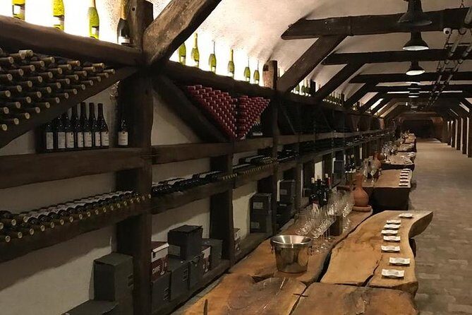 Full Day Private Wine Tour in Kakheti Region with Lunch and 3 Wine Tastings - Final Thoughts