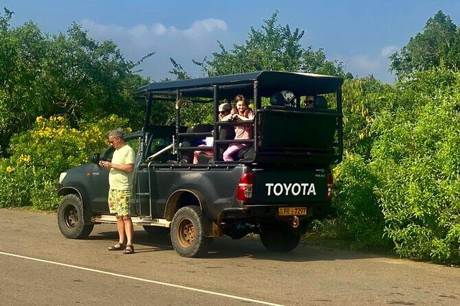 Full Day Private Yala Safari Trip with Lunch - An In-Depth Look at the Yala Safari Experience