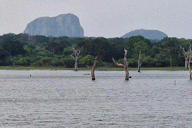 Full Day Private Yala Safari Trip with Lunch - Frequently Asked Questions