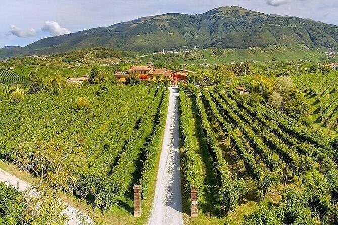 Full-Day Prosecco Tasting - 3 Wineries from Venice or Treviso - Final Thoughts: Who Should Sign Up?