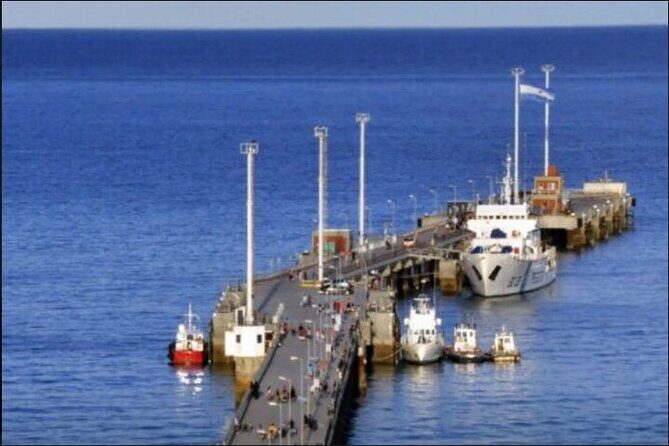 Full Day Punta Tombo Penguin Paradise - Key Points