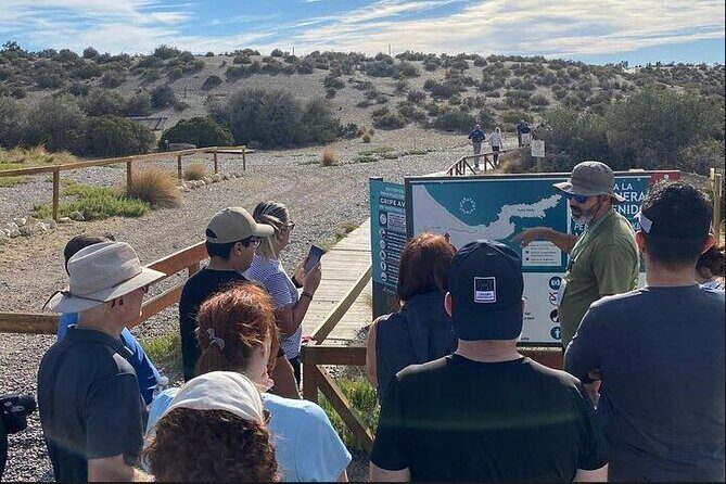 Full Day Punta Tombo Penguin Paradise - Who Should Consider This Tour