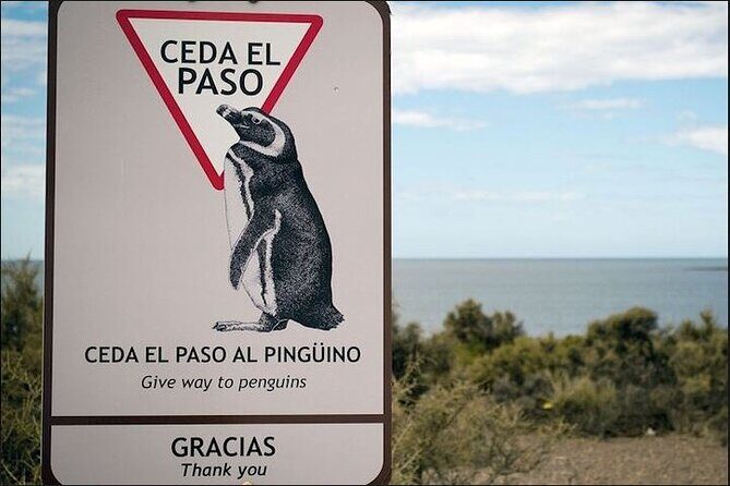 Full Day Punta Tombo Penguin Paradise - FAQ
