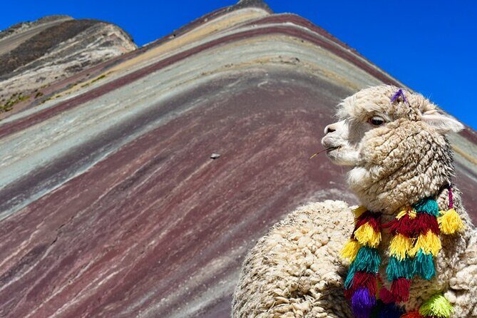 Full Day Rainbow Mountain Tour Vinicunca with Guide - Who Will Love This Tour?