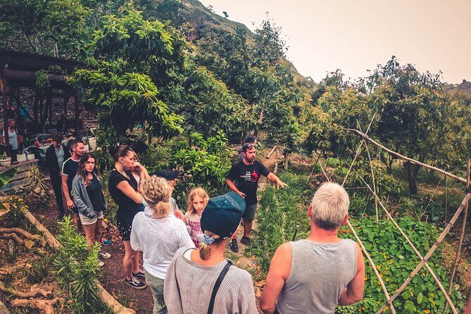 Full Day Rainforest Tour with Tasting and Swimming Time - Why This Tour Works for Travelers