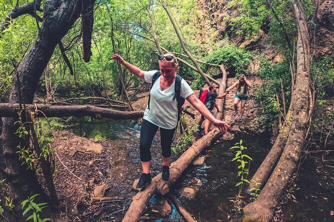 Full Day Rainforest Tour with Tasting and Swimming Time - Practical Tips for Your Day