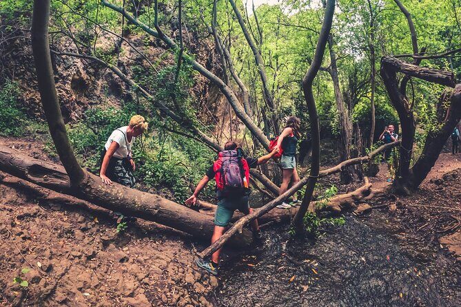 Full Day Rainforest Tour with Tasting and Swimming Time - FAQ