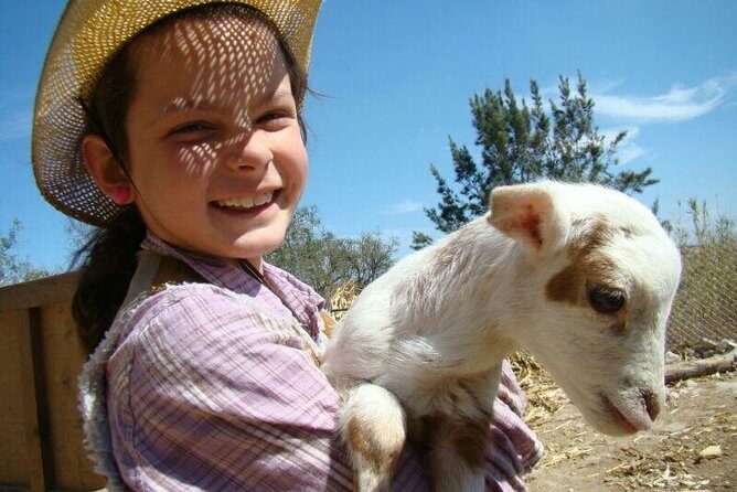 Full-Day Ranch Adventure and Horseback Riding Tour - Full-Day Ranch Adventure and Horseback Riding Tour: An Authentic Mexican Experience