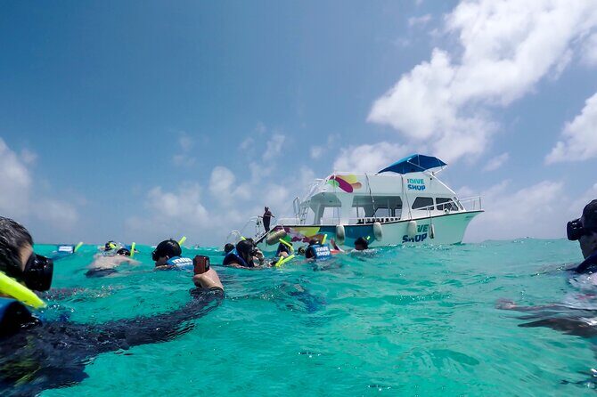 Full-Day Reef Snorkeling in Cozumel from Cancun with Lunch - Detailed Review: What You Can Expect from the Cozumel Snorkeling Tour