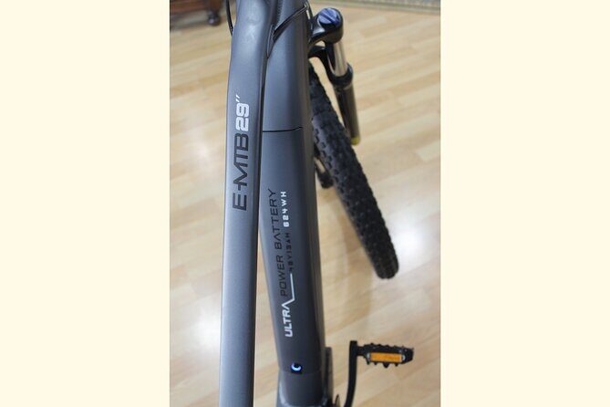 Full Day Rental of Electric Mountain E-Bike - Discover Malaga by Electric Mountain E-Bike: An Honest Review