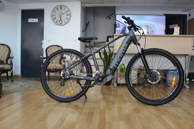 Full Day Rental of Electric Mountain E-Bike - Key Points