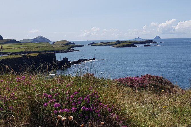 Full-Day Ring of Kerry Tour from Killarney - The Experience in Detail