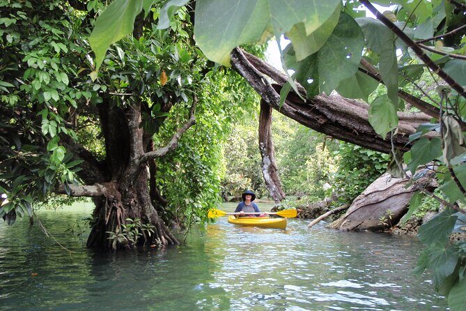 Full Day River Kayaking & Cascades from Port Vila - An In-Depth Look at What to Expect
