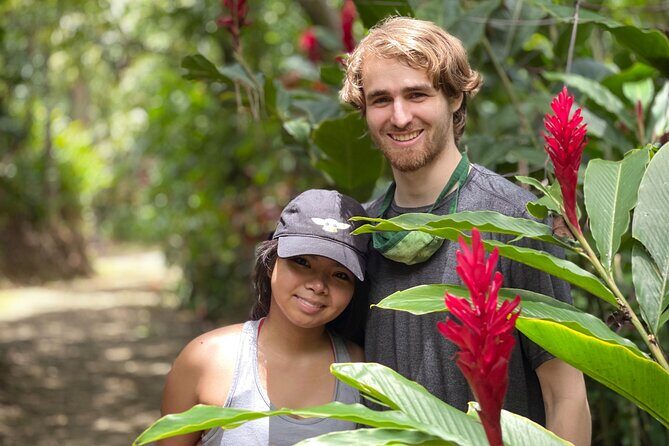 Full-Day Road to Hana and Waterfall Tour - Who Should Book This Tour?