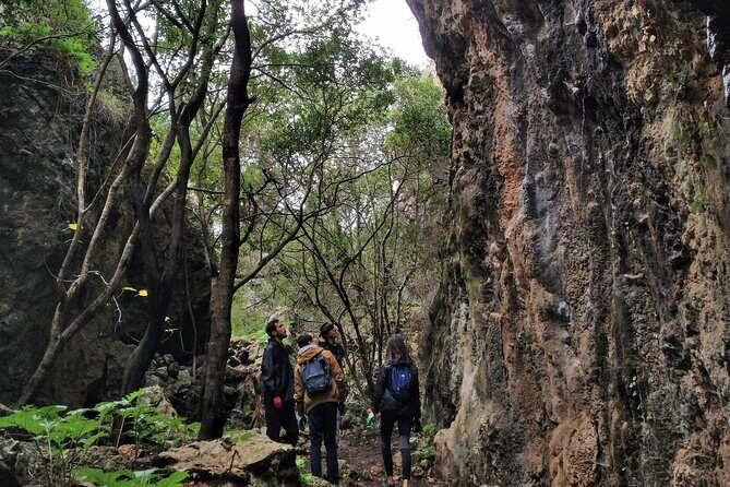 Full Day Rock Climb Adventure Trail from Lisbon with Lunch - Authentic Experiences and Authentic Feedback