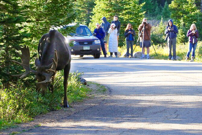 Full-Day Rocky Mountain National Park "Over The Top Tour" - RMNPhotographer - Key Points