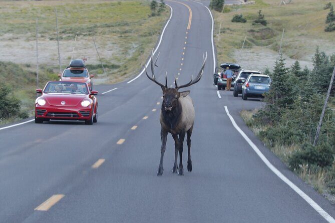 Full-Day Rocky Mountain National Park "Over The Top Tour" - RMNPhotographer - Practical Tips for Making the Most of Your Tour