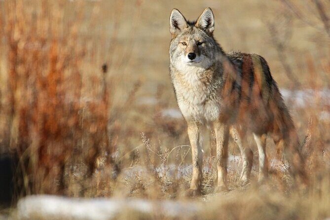 Full-Day Rocky Mountain National Park "Over The Top Tour" - RMNPhotographer - FAQ: Your Questions About the Rocky Mountain National Park "Over The Top Tour"