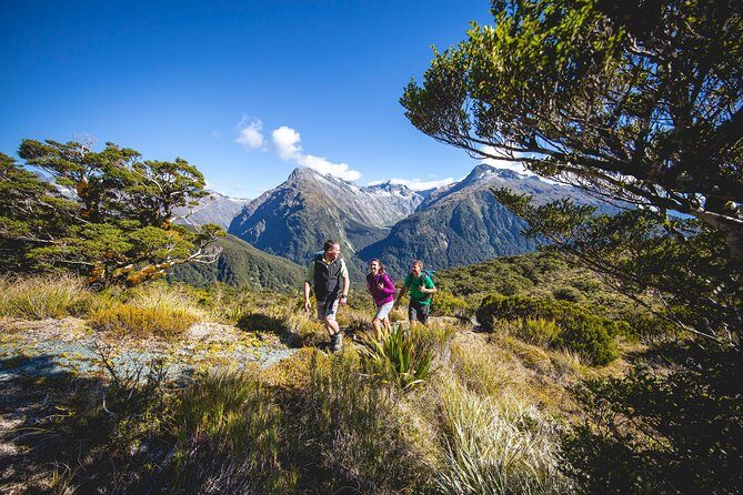 Full-Day Routeburn Track Key Summit Guided Walk from Te Anau - Discover the Beauty of the Routeburn Track with a Guided Walk from Te Anau