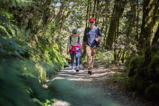 Full-Day Routeburn Track Key Summit Guided Walk from Te Anau - The Journey through Fiordland: What to Expect