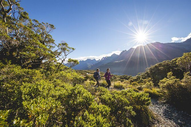 Full-Day Routeburn Track Key Summit Guided Walk from Te Anau - Authentic Experiences from Travelers