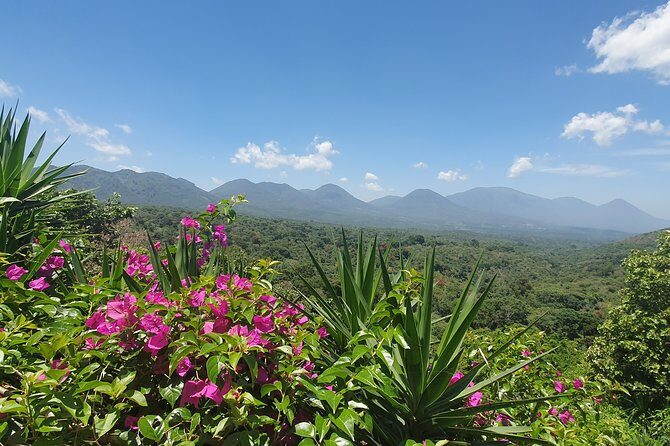 Full Day Ruta de Las Flores visit four Colonial Towns and Coffee Farm - Explore the Heart of El Salvador’s La Ruta de las Flores in a Day