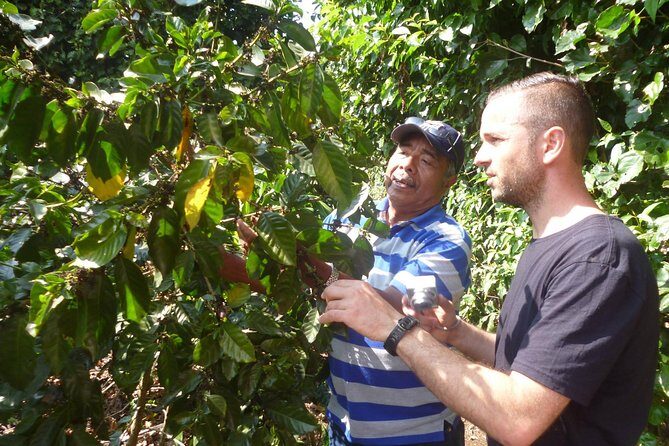 Full Day Ruta de Las Flores visit four Colonial Towns and Coffee Farm - The Experience of Transportation and Group Size