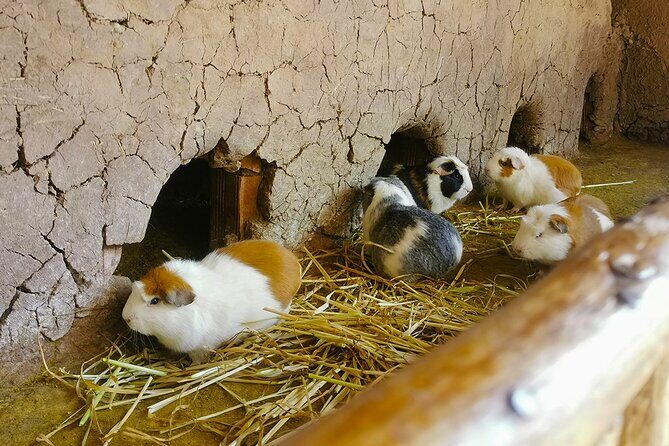 FULL DAY SACRED VALLEY TOUR (Just for your family) - Practical Details and What They Mean for You