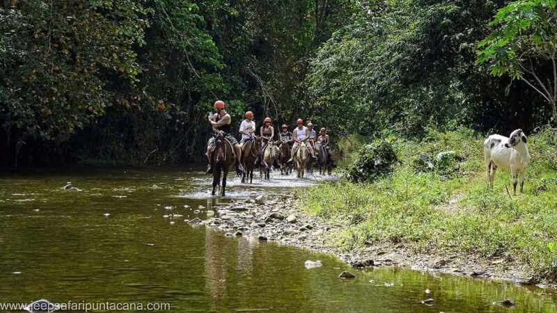 Full-Day Safari Outdoor Adventure in Punta Cana - Key Points
