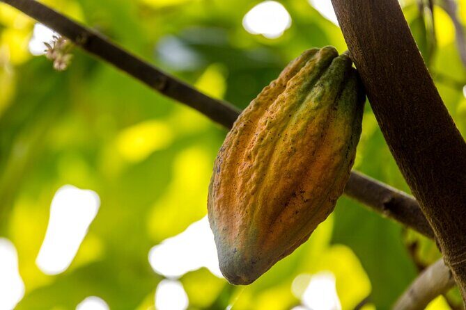 Full Day Safari Tour with Local Touch including Lunch - In-Depth Review of the Safari Tour