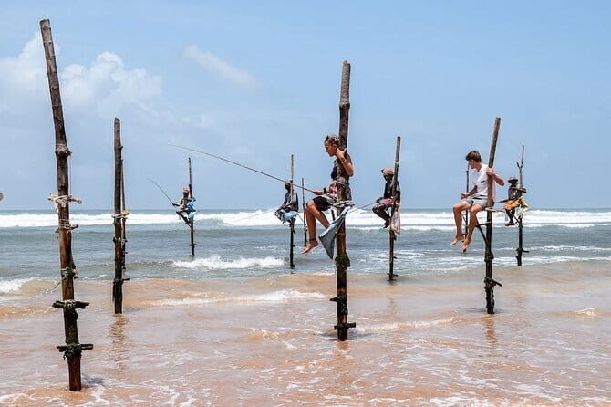 Full Day Safari Tour Yala - What’s Included and What’s Not