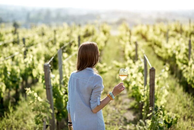 Full-day Saint-Emilion: Village, Undergrounds and Châteaux - The Experience: What You’ll Love and What to Consider