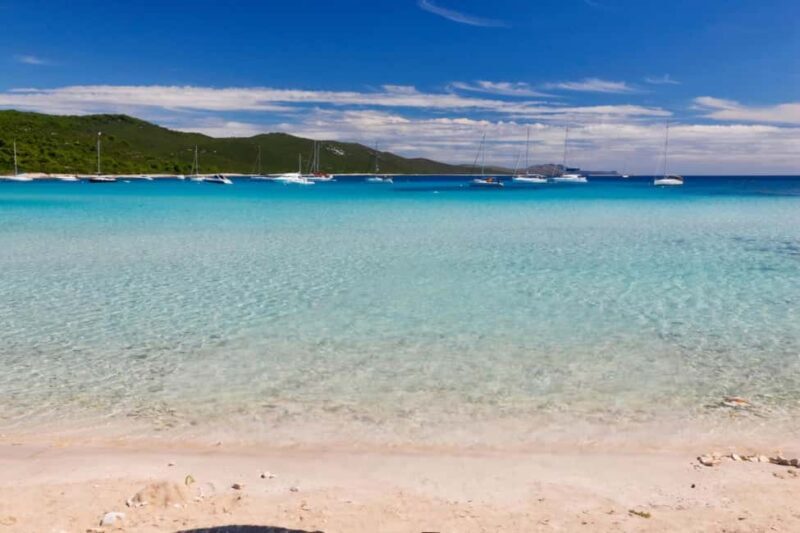 Full day Sakarun with speedboat - An In-Depth Look at the Sakarun Speedboat Experience