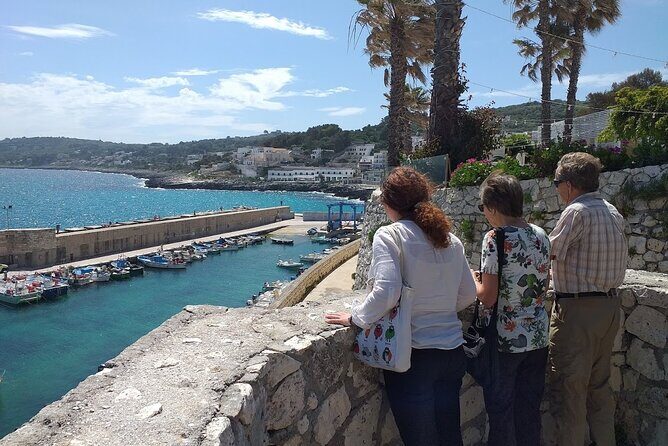 Full-day Salento Wine and Food Tour - Key Points