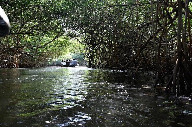 Full-Day San Blas Tour from Puerto Vallarta - FAQ