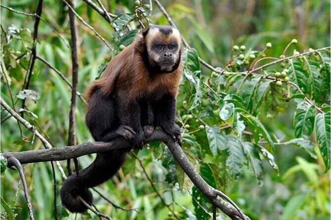 Full day Sandoval Lake - Key Points