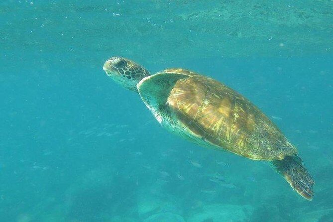 Full Day Santa Fe and Playa escondida with Snorkeling and lunch Included - Final Thoughts: Is It Worth It?