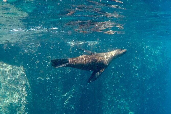 Full Day Santa Fe and Playa escondida with Snorkeling and lunch Included - FAQ