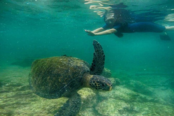 Full Day Santa Fe & " Playa escondida" snorkeling tour - Key Points