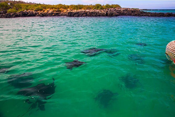 Full Day Santa Fe & " Playa escondida" snorkeling tour - A Detailed Look at the Santa Fe & Playa Escondida Snorkeling Tour