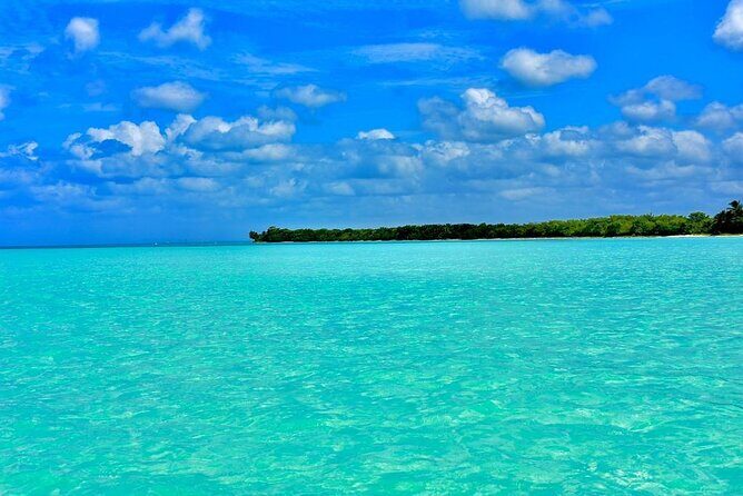 Full day Saona Island with all inclusive and Round trip transfer - A Day on Saona Island: An Authentic Caribbean Escape