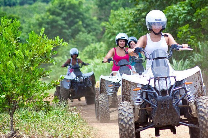 Full Day Sapanca and Masukiye Tour with lunch - FAQ