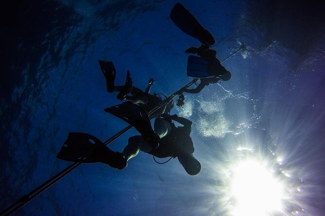 Full-Day Scuba Diving Catalina Island Tour from Bavaro - Detailed Breakdown of the Experience