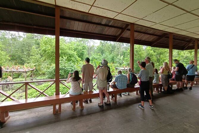 Full-Day Sepilok Orangutan and Proboscis Monkey from Sandakan or Kota Kinabalu - FAQs