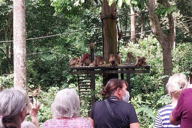 Full-Day Sepilok Orangutan and Sandakan City Trail from Kota Kinabalu - Why This Tour Offers Great Value